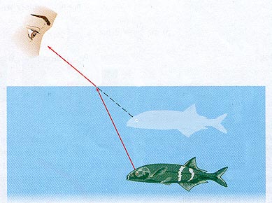Spear fishhing